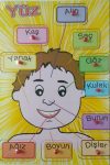 Canem İnsan Yüzü Erkek Bultak Ahşap Puzzle HF-PT-2129