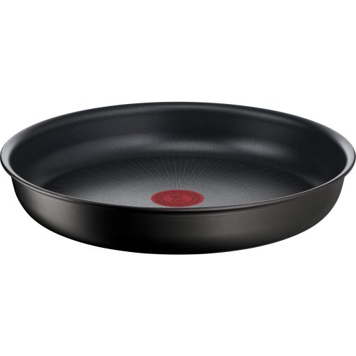 Tefal L76303 Ingenio Titanyum 6X Mix Tava 22 cm - 2100125020